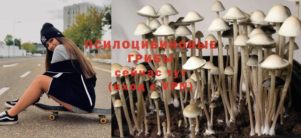 прущая мука Осташков