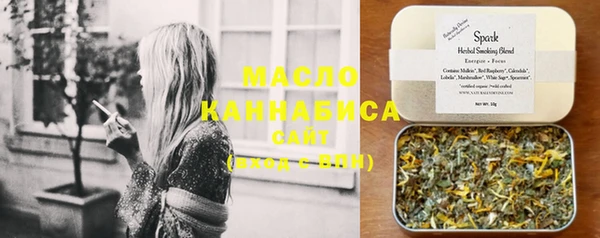 МДПВ Каменногорск
