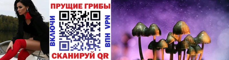 Галлюциногенные грибы мицелий  Ярославль 