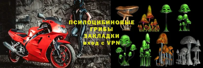 Галлюциногенные грибы Cubensis Ярославль